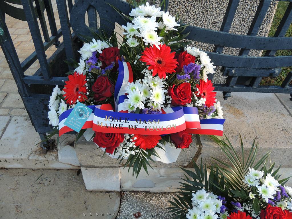 2022 12 05 TOULON HOMMAGE AUX MORTS POUR LA FRANCE EN AFN (7).JPG -           